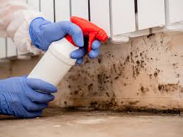 Why You Should Choose Our Mold Remediation Services in Laurens, IA